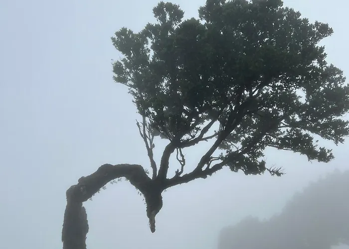 Geko Camper אתר קמפינג *