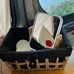 Geko Camper Kemping